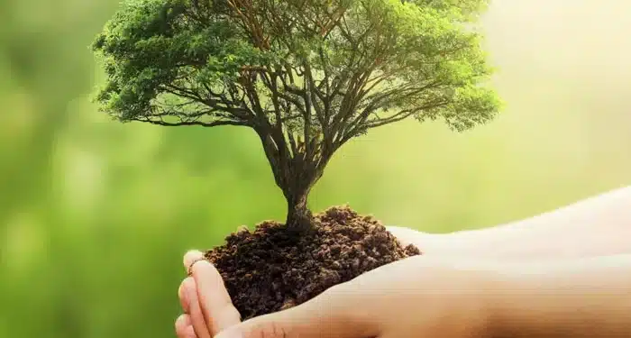 Le Crédit Agricole lance un nouveau pôle dédié au capital naturel
