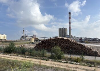 L'usine Fibre Excellence à l'arrêt avec encore du bois stocké (Crédit Gomet')