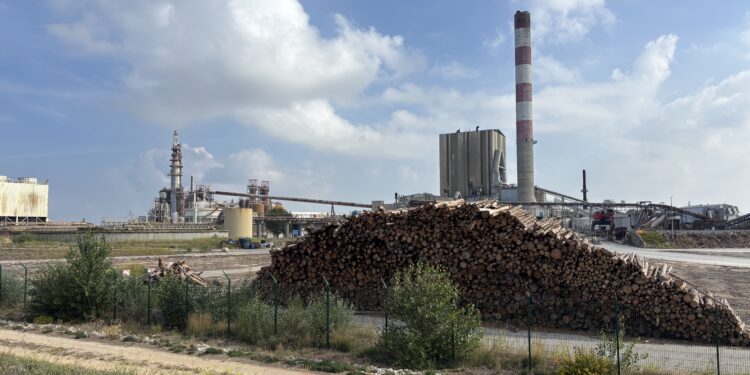 L'usine Fibre Excellence à l'arrêt avec encore du bois stocké (Crédit Gomet')