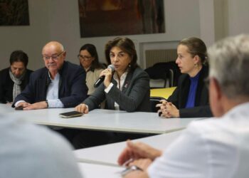 Martine Vassal à Arles lundi 26 octobre pour soutenir les agriculteurs sinistrés (Crédit Département 13)